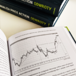 "Analiza price action: odwroty" - recenzja